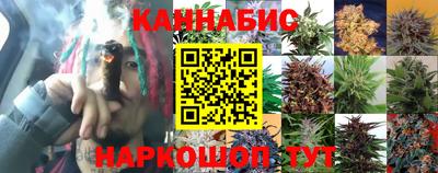 крисы Гусиноозёрск