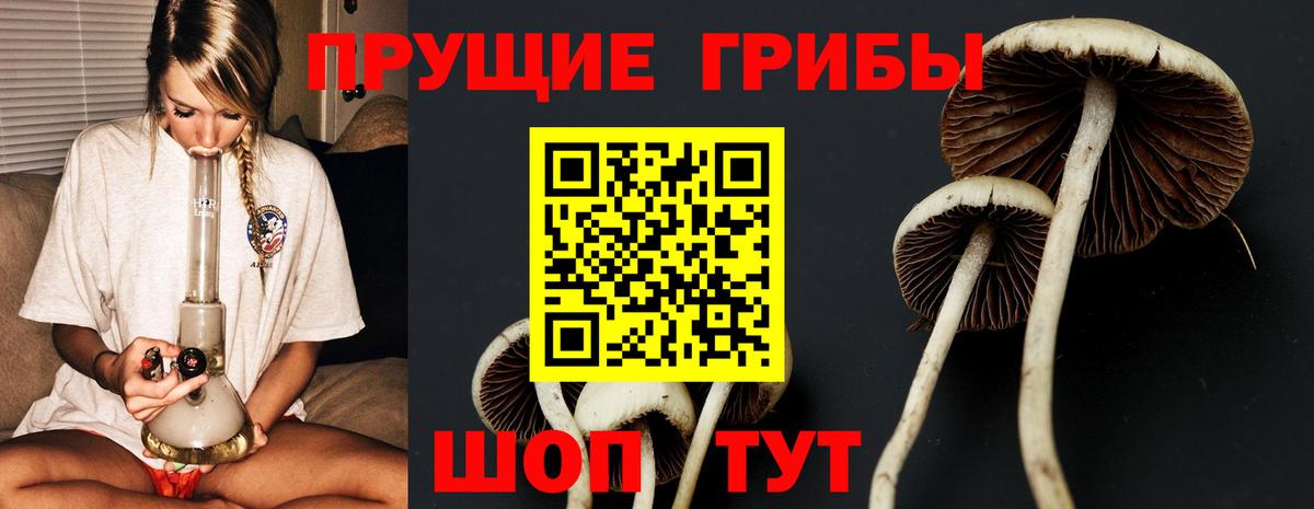 Галлюциногенные грибы мухоморы  Вход с VPN  Кашира 